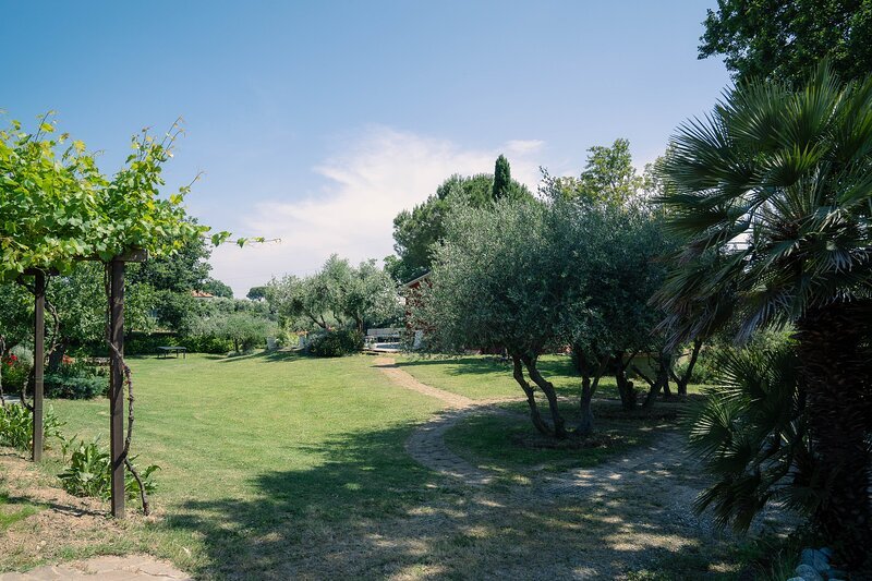 Giardino Loft Verdemare Fano con alberi