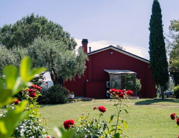 Loft Verdemare vista giardino con alberi e rose in primo piano